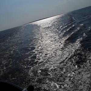 Meet your Posher, Elijah